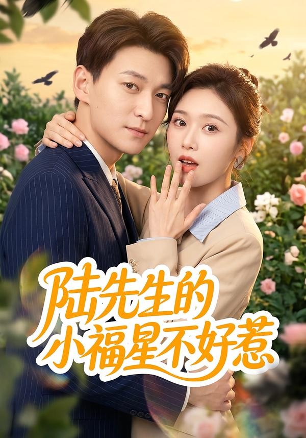 陆先生的小福星不好惹封面图