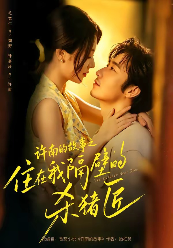 许南的故事之住在我隔壁的杀猪匠封面图