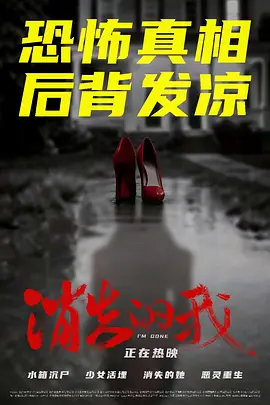消失的我封面图