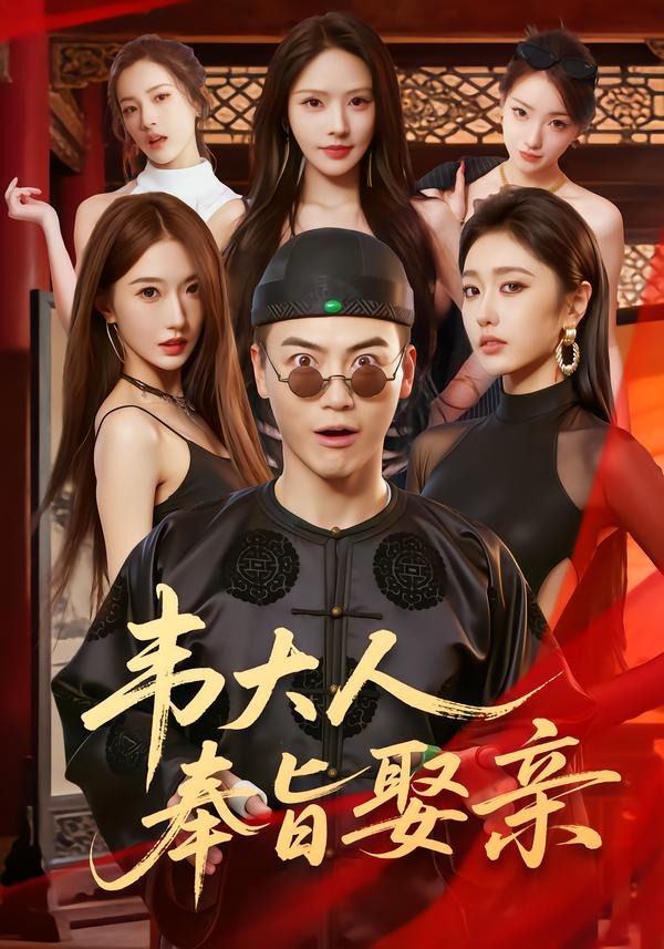 韦大人奉旨娶亲封面图