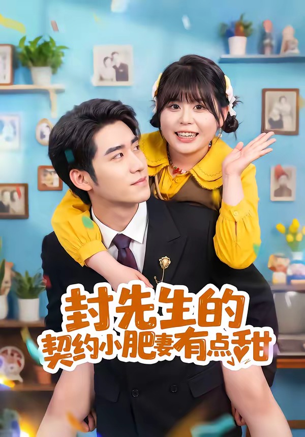 封先生的契约小肥妻有点甜封面图
