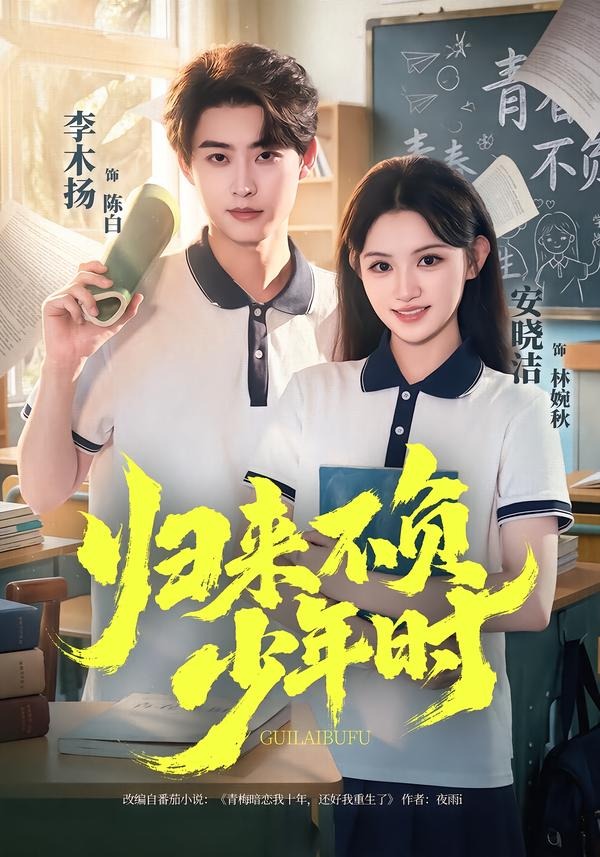 归来不负少年时封面图