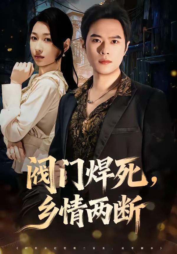 阀门焊死，乡情两断封面图